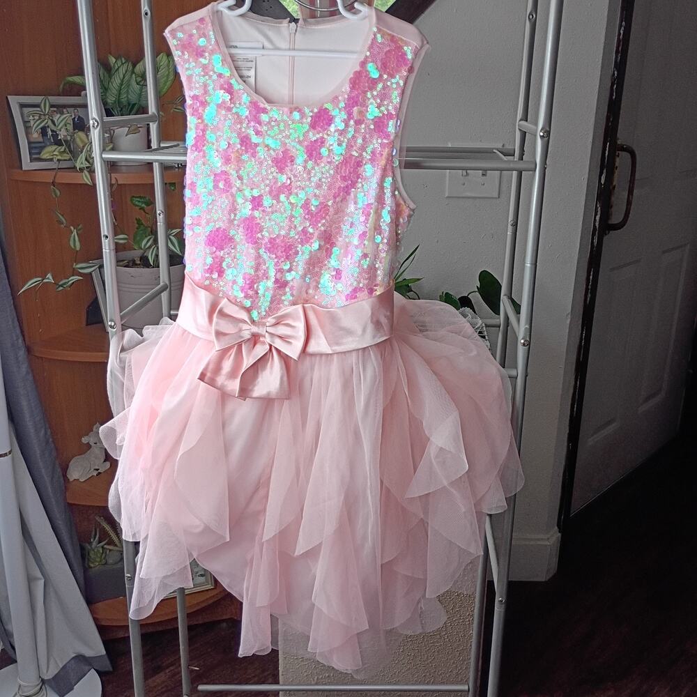 Dress Girl Size 16 Pink Tulle Bonnie Jean